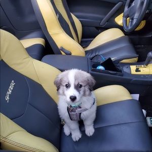 Meet your Posher, Michael